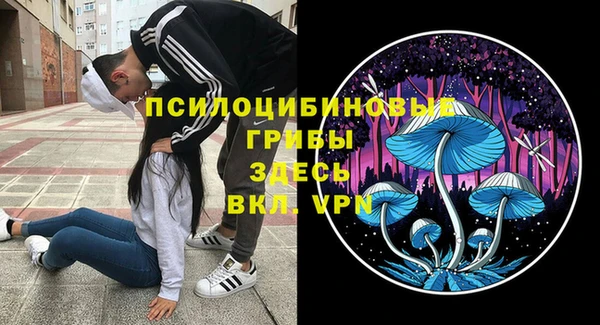 спайс Зерноград