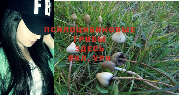 меф Зеленокумск