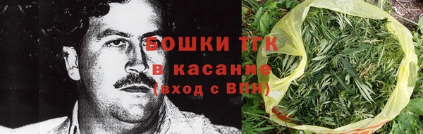 ПСИЛОЦИБИНОВЫЕ ГРИБЫ Инсар
